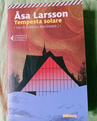 Asa Larsson, Tempesta solare