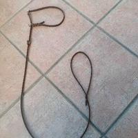 Guinzaglio retriever in cuoio