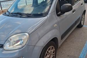 Panda 1300