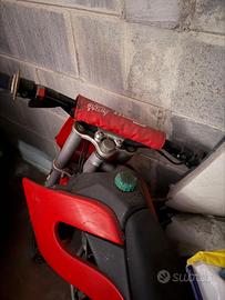 Minimoto Malaguti Grizzly 50cc - Monomarcia