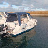 saver manta possibilità di skambio 