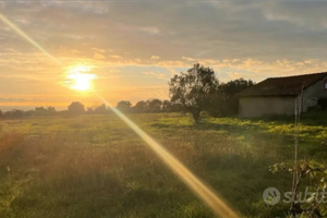 Terreno Agricolo a Lanuvio con Rustico