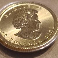 10 dollari Canadesi ORO - 2022