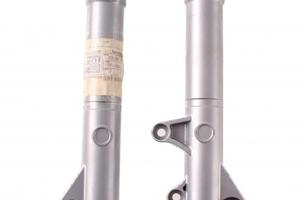 Coppia foderi forcella per Piaggio Free Delivery 5