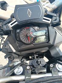 moto Suzuki v strom 