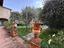 Immagine 14