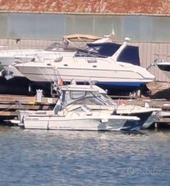 Barca White Shark 237 wa