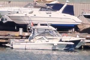 Barca White Shark 237 wa