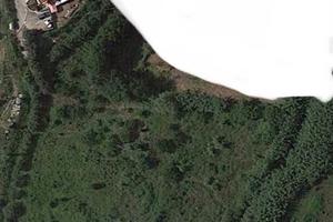 Terreno agricolo in Laureana Cilento