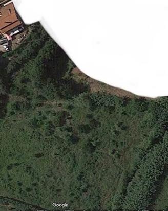 Terreno agricolo in Laureana Cilento