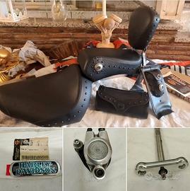 Sella Sissy Bar pannello serbatoio BAD BOY Harley