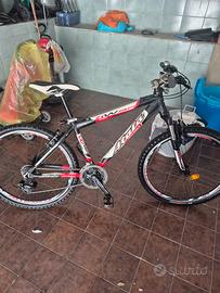 Mtb atala