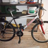 Biciclette usate ma in ordine 