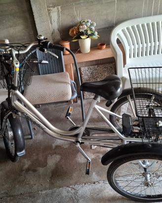 Bicicletta elettrica a 3 ruote