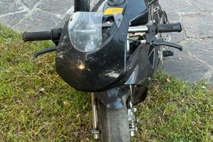 mini moto da pista