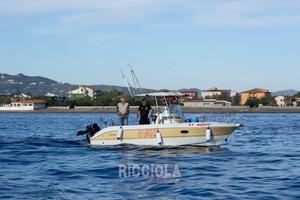 Sessa key Largo 22 deck WA