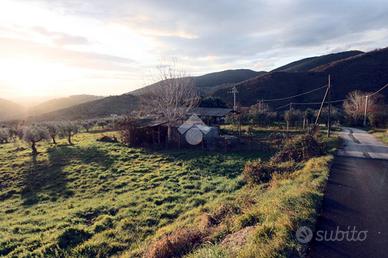 TER. AGRICOLO A MOMPEO