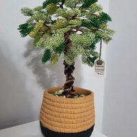 bonsai in alluminio