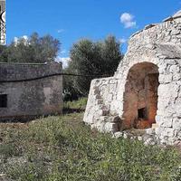 GRUPPO DI LAMIE con ULIVETO 3Ha - AGRO di OSTUNI