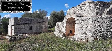 GRUPPO DI LAMIE con ULIVETO 3Ha - AGRO di OSTUNI