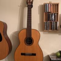 Chitarra Giannini