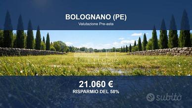 Immobile in asta di 45390 m² a Bolognano