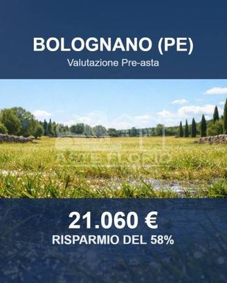 Immobile in asta di 45390 m² a Bolognano