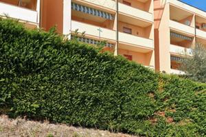Posti letto studenti università Veterinaria Teramo
