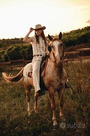 Castrone Appaloosa per passeggiate