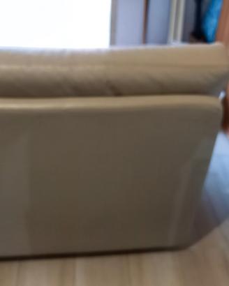 poltrone in pelle