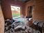 Immagine 19