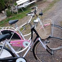 bici da passeggio 