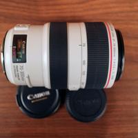 Canon zoom lens ef 70-300 mm 1.4-5.6 L IS USM