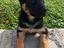 Immagine 4
