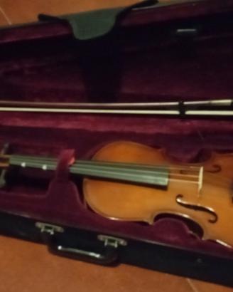 Violino