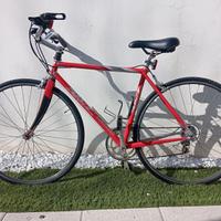 Bicicletta FM Cycles - Mix Campagnolo/Ultegra - Mi