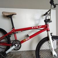 BMX GT