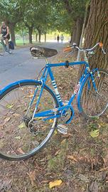 Bicicletta da passeggio 