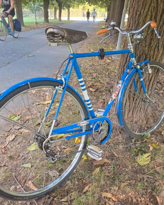 Bicicletta da passeggio 