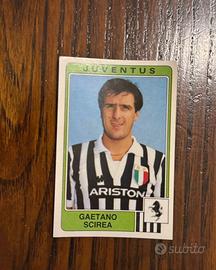 Scirea Juventus Figurina panini 1984-85