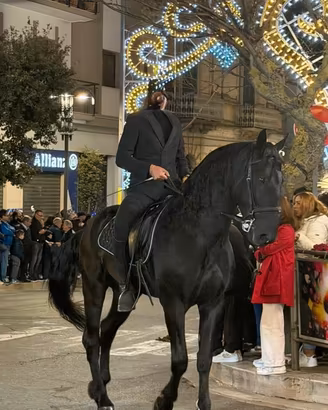 Cavallo Murgese