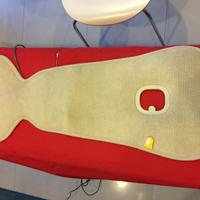 COPERTURA SCHIENALE antisudore per TAGA BIKE bici