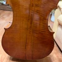 Violoncello
