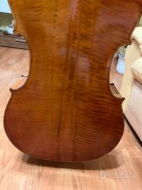 Violoncello