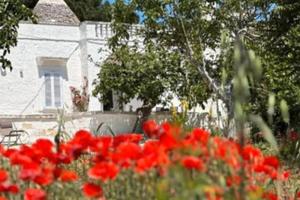 Trullo panoramico a laureto