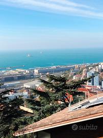 Via Lucrezio adatto single o coppia
