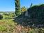 Immagine 15