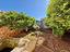 Immagine 25