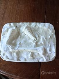 calco in gesso fossile