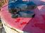 Immagine 4